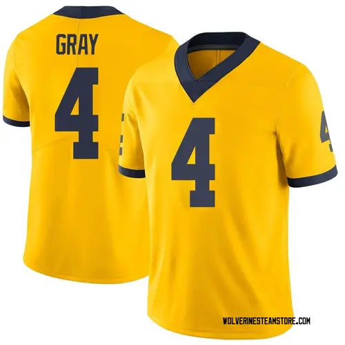 Men's Vincent Gray Michigan Wolverines Limited Gray Brand Jordan Maize Football College Jersey
