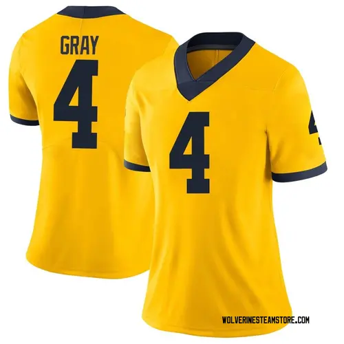 Women's Vincent Gray Michigan Wolverines Limited Gray Brand Jordan Maize Football College Jersey