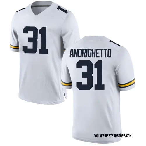 Youth Lucas Andrighetto Michigan Wolverines Game White Brand Jordan Football College Jersey