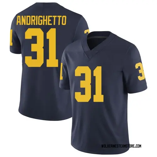 Youth Lucas Andrighetto Michigan Wolverines Limited Navy Brand Jordan Football College Jersey