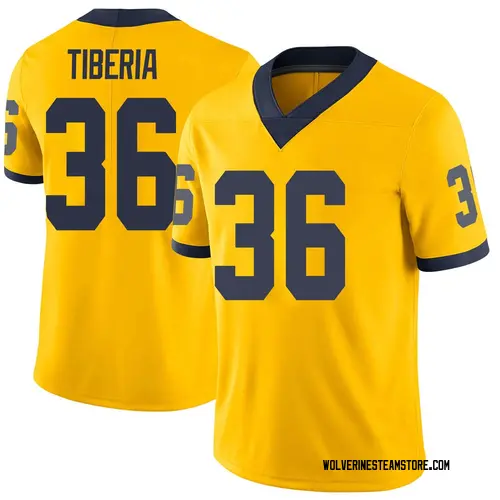 Youth Nico Tiberia Michigan Wolverines Limited Brand Jordan Maize Football College Jersey